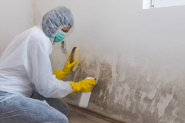 Best Residential Mold Inspection & Testing  in Guymon, OK
