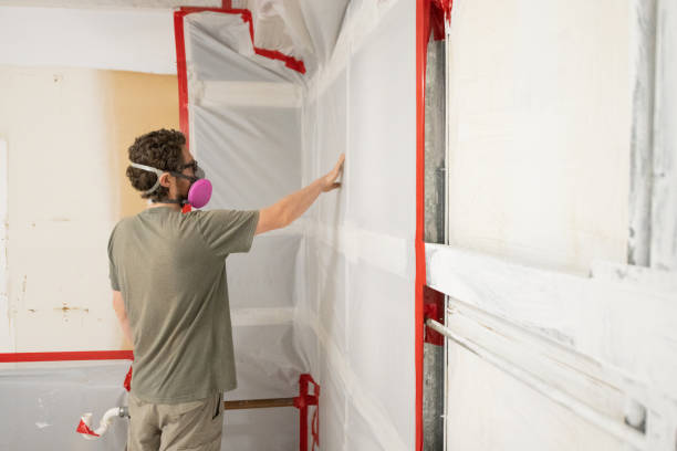 Best Basement Mold Removal  in Guymon, OK